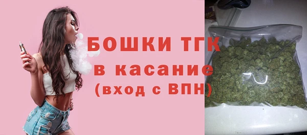 меф Богородицк