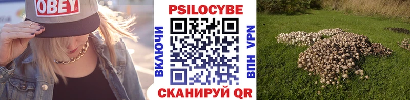 Галлюциногенные грибы Psilocybe  где можно купить   Воронеж 